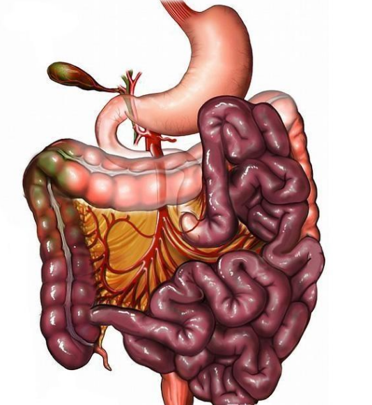 腸息肉者，排便出現3個(gè)異常，十有八九息肉已變成“癌”